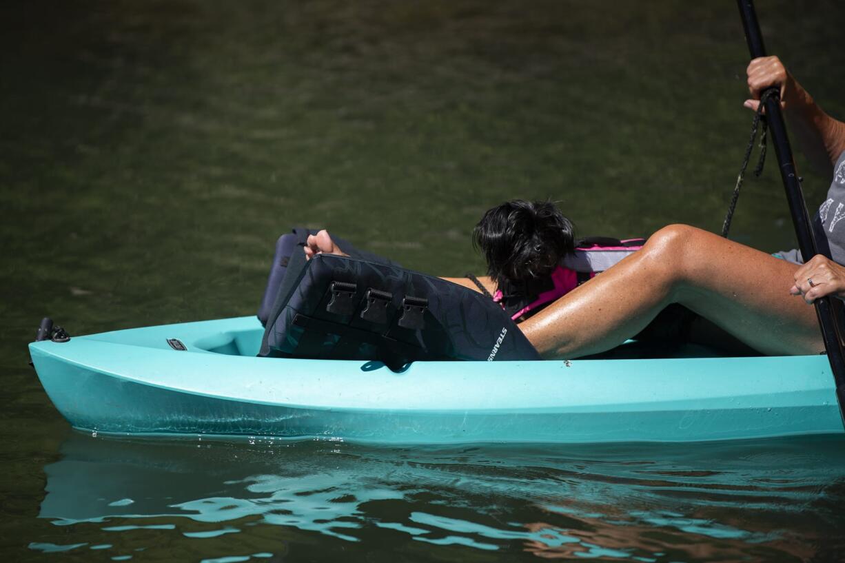 Roo joins her owner Kelly Kopp as they kayak along an offshoot of the Columbia River in Vancouver on August 15, 2020.