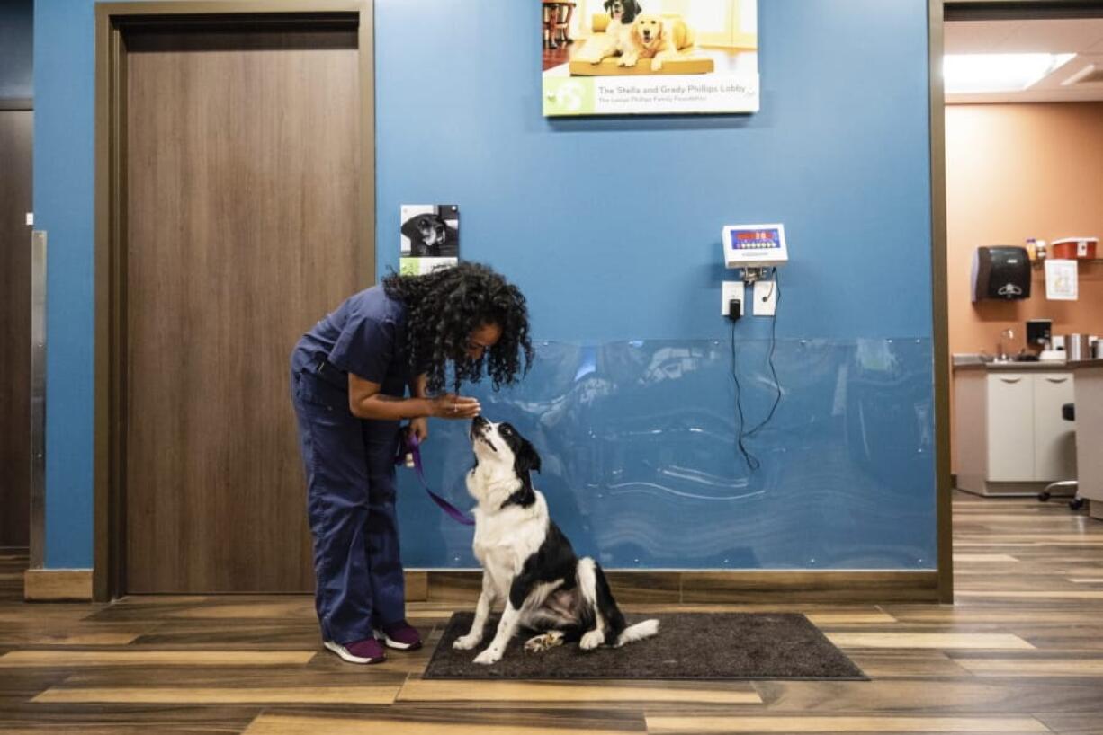 A dog is weighed at Mission Animal Hospital in Eden Prairie, Minn., which provides subsidized care to low income pet owners.