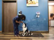 A dog is weighed at Mission Animal Hospital in Eden Prairie, Minn., which provides subsidized care to low income pet owners.