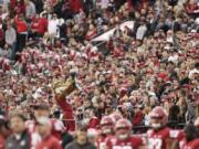 In this Nov. 16, 2019, photo, a packed crowd looks on as Washington State mascot Butch T. Cougar performs during an NCAA college football game between Washington State and Stanford in Pullman, Wash. The athletes weren&#039;t the only ones impacted when Washington State&#039;s fall football season was canceled by the coronavirus pandemic. Merchants in tiny Pullman, who depend on big football crowds, say they are losing a major chunk of their annual income. Pullman, the most remote outpost in the PAC-12, has only 34,000 residents and many businesses in town depend on visitors attracted by football games, graduation and other special events.