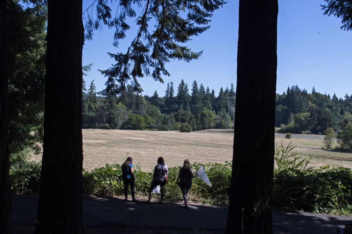 Washington State University Vancouver biology doctoral students Kelsey King, from left, and Rebekah Gaxiola join doctoral candidate Samantha Bussan as they ponder a low-lying campus meadow. The trio plans to replace the invasive grasses with native wildflowers so threatened bees and other pollinators can thrive there.