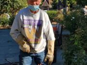 ESTHER SHORT: Bob Britt heads the maintenance efforts at the Esther Short Park Rose Garden.