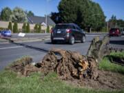 Drivers pass the uprooted trunk of a tree along Northeast 162nd Avenue as blustery conditions continued on Tuesday morning.