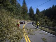 Clark County Public Works employees clear a downed tree from Washougal River Road in Washougal on Tuesday.