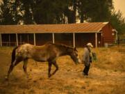 Deborah Mann of Milwaukie, Ore., walks with her horse Pete at the Clark County Event Center at the Fairgrounds on Friday. Mann boards her horse at Coyote Moon Ranch in Oregon City, Ore. The ranch welcomed many horses from the surrounding areas when the fires started, but then had to be evacuated too.