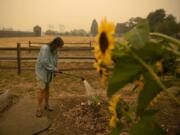 Heisson resident and volunteer Elizabeth Stoltz waters the Fort Vancouver Garden in Vancouver on Friday. Stoltz said things were dried out because of the wind and smoke. &quot;The wind sucks the life out of everything,&quot; she said. Stoltz is still not under evacuation from the Big Hollow Fire, but her family made a plan in case it gets to that point.