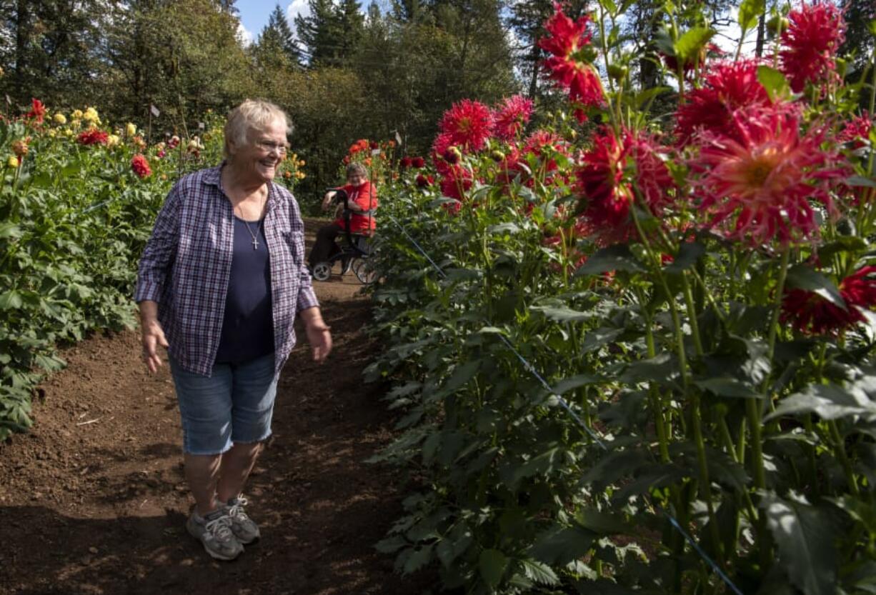 Teresa Hoover of Washougal walks through Jamie&#039;s Dahlias farm with her friend Jeanne Wood of Bremerton in Washougal last week.