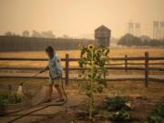 Volunteer Elizabeth Stoltz of Heisson waters the Fort Vancouver Garden in Vancouver in 2020.