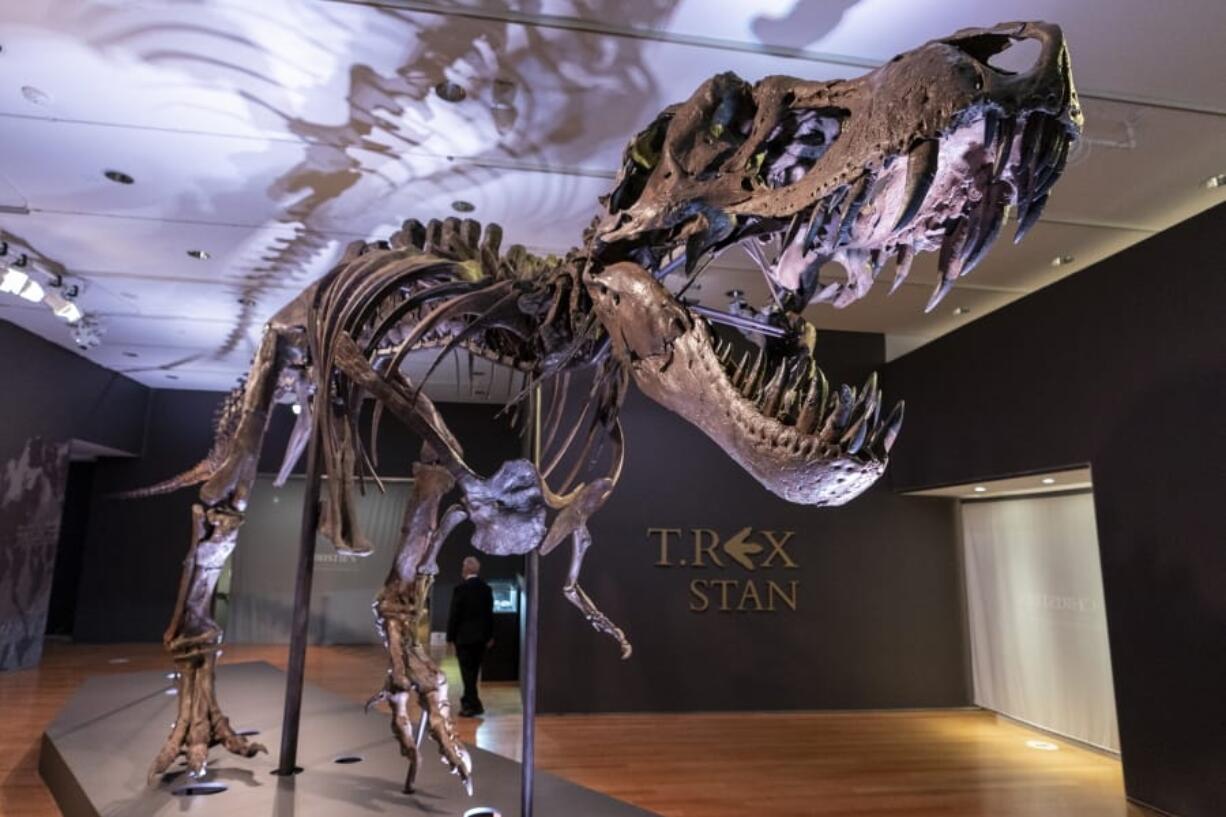 Stan, one of the largest and most complete Tyrannosaurus rex fossil discovered, is on display Sept. 15 at Christie&#039;s in New York.