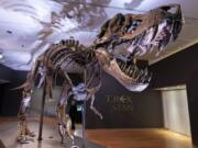 Stan, one of the largest and most complete Tyrannosaurus rex fossil discovered, is on display Sept. 15 at Christie&#039;s in New York.