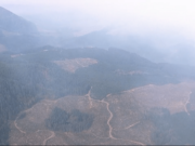 A view from a KPTV helicopter shows smoke intruding into the Chelatchie area of north Clark County on Thursday from the Big Hollow Fire in the Gifford Pinchot National Forest. Tumtum Mountain can be seen at left.