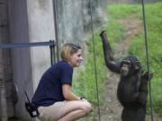 Zookeeper Kristy Russell looks on at Gus the chimpanzee.