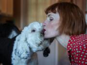 Bunny, a 14-month old sheepadoodle, and her owner Alexis Devine, share a kiss in their Tacoma home Tuesday, Sept. 29, 2020. Devine, an artist in Tacoma, is teaching her dog Bunny to communicate with buttons. (Ellen M. Banner/The Seattle Times/TNS) (Photos by Ellen M.