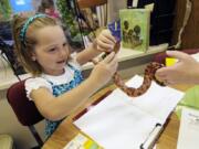 FILE - In this Sept. 11, 2012, file photo, Hailey Fink gets acquainted with a corn snake in the first grade classroom of Dawn Slinger in Farmington, Minn. Corn snakes are great for beginners. Native to the U.S., they&#039;re suited to our environment.