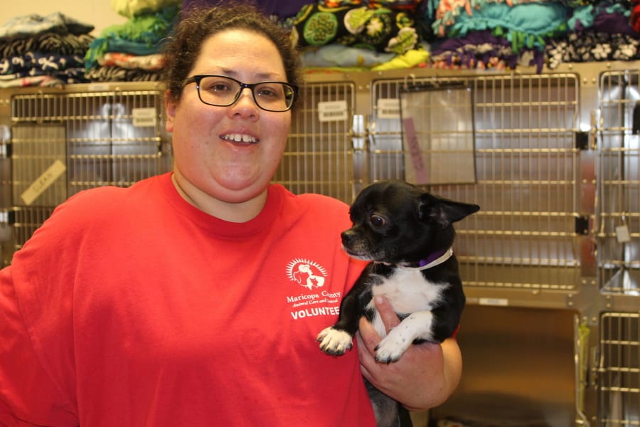 How Can You Help an Animal Shelter? Here's 5 Ways