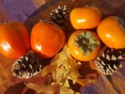 The dark orange, heart-shaped hachiya persimmons, left, require patience and can only be eaten when they&#039;re quite squishy. The squat, golden orange fuyu persimmons may be eaten whole like an apple at any stage from crisp to soft.