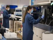 General lab technologists Nicolas Diaz, left, and Jessica Haglund work at Molecular Testing Labs, which is among those who are processing testing for COVID-19. The company was able to quickly adapt to offering COVID-19 testing once the pandemic hit, and it&#039;s become a large part of its business model.