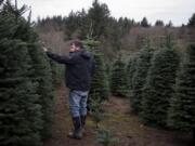 Eric Klopman of Klopman Farms walks through rows of noble firs while gearing up for Christmas tree season in Washougal. Tree farms are mostly outdoor operations, so it&#039;s relatively straightforward to add COVID-19 safety measures.