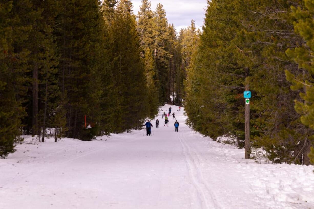 People ski along a ski-trail between trees in the Virginia Meissner sno-park in Central Oregon.