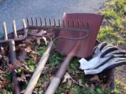 Some yard chores, such as removing dead plants that could spread disease or sharping to tools, will make your life easier in the spring.