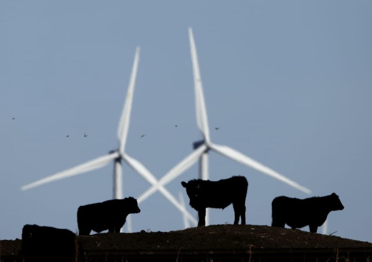 Cattle graze in a pasture against a backdrop of wind turbines near Vesper, Kan. A study published in the journal Science says how we grow, eat and waste food is a big climate change problem that may keep the world from reaching its temperature-limiting goals.