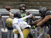 Oregon&#039;s Tyler Shough throws down field under pressure from UCLA&#039;s Elisha Guidry during the second quarter of an NCAA college football game Saturday, Nov. 21, 2020, in Eugene, Ore.