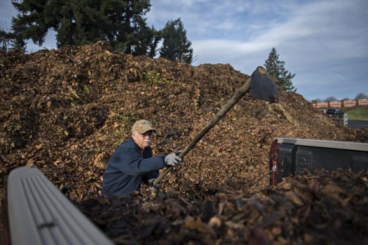 Doug Parker of Vancouver drops off a batch of leaves at H&H Wood Recyclers while participating in the leaf voucher program on Monday. Vancouver and Clark County are offering a free leaf disposal coupon program in an attempt to keep leaves from clogging storm drains.