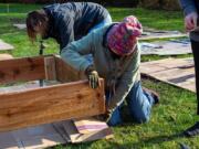 MAPLEWOOD: Volunteers Kitty Hibbs and Pat Wozniak adjust cardboard layers under raised beds.