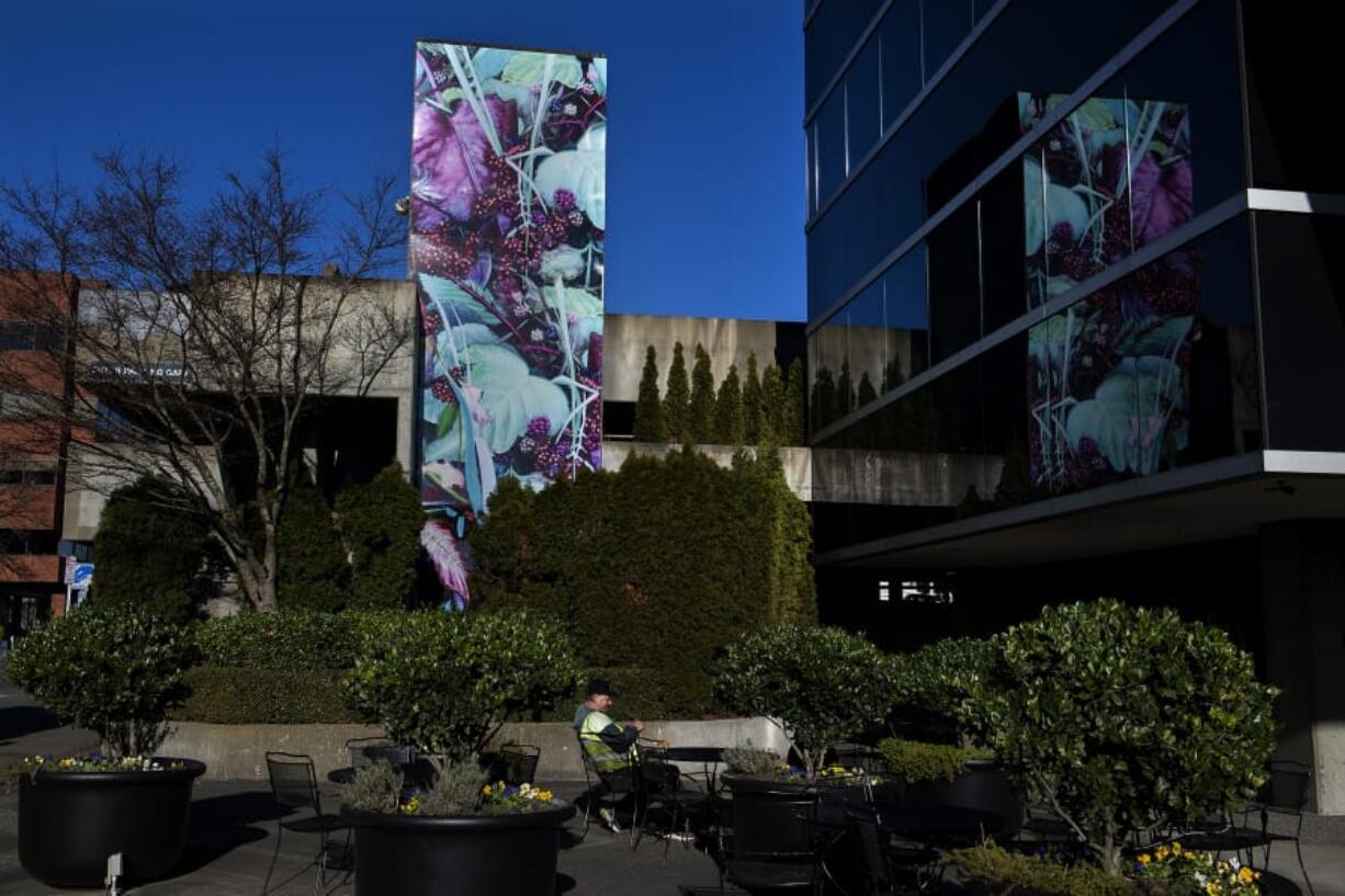 Joseph Bailey of Vancouver takes a seat near the new &quot;Bramble&quot; mural by artist Jane Degenhardt in downtown Vancouver on Monday. The new 30-foot mural is one of the first public art pieces to come to fruition under Vancouver&#039;s new Arts, Culture and Heritage Commission.