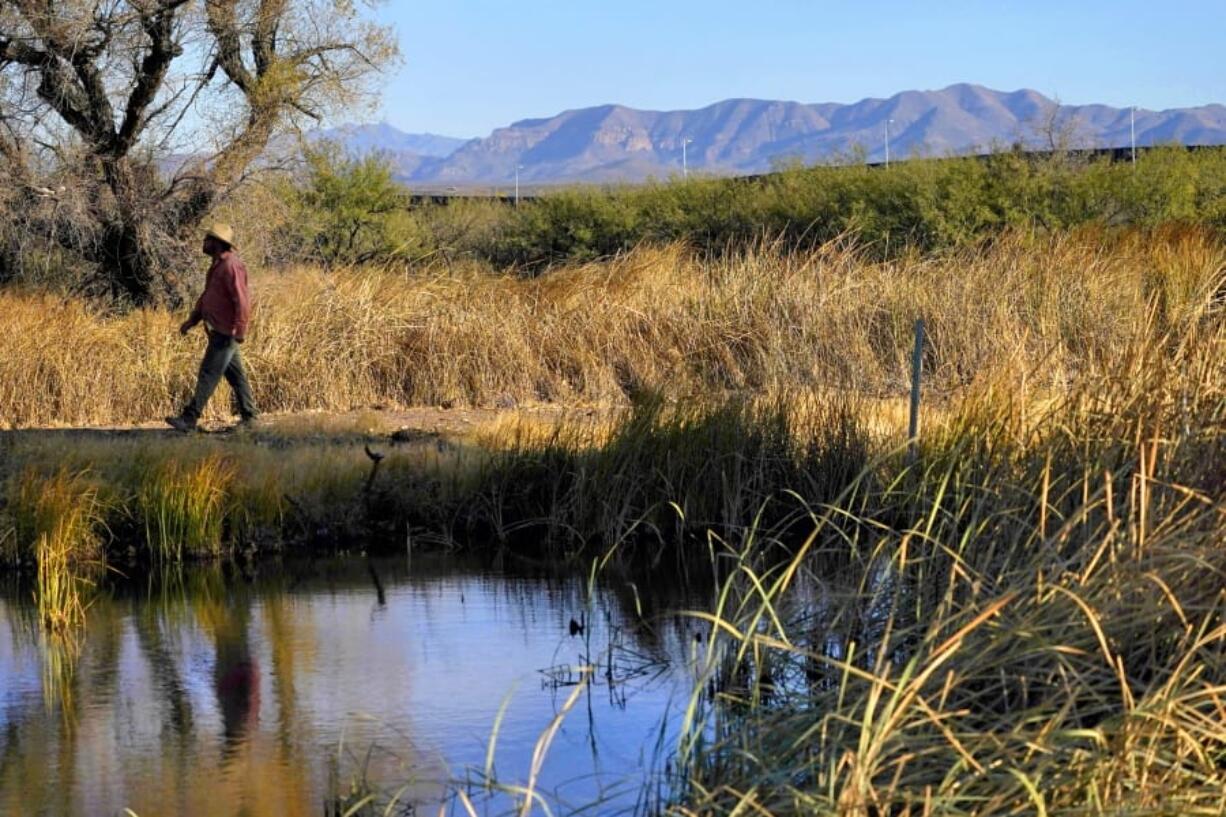 Myles Traphagen, Borderlands Program Coordinator for Wildlands Network, walks through a marsh area as the top of a newly erected border wall cuts through the San Bernardino National Wildlife Refuge, Tuesday, Dec. 8, 2020, in Douglas, Ariz.  Construction of the border wall, mostly in government owned wildlife refuges and Indigenous territory, has led to environmental damage and the scarring of unique desert and mountain landscapes that conservationists fear could be irreversible.