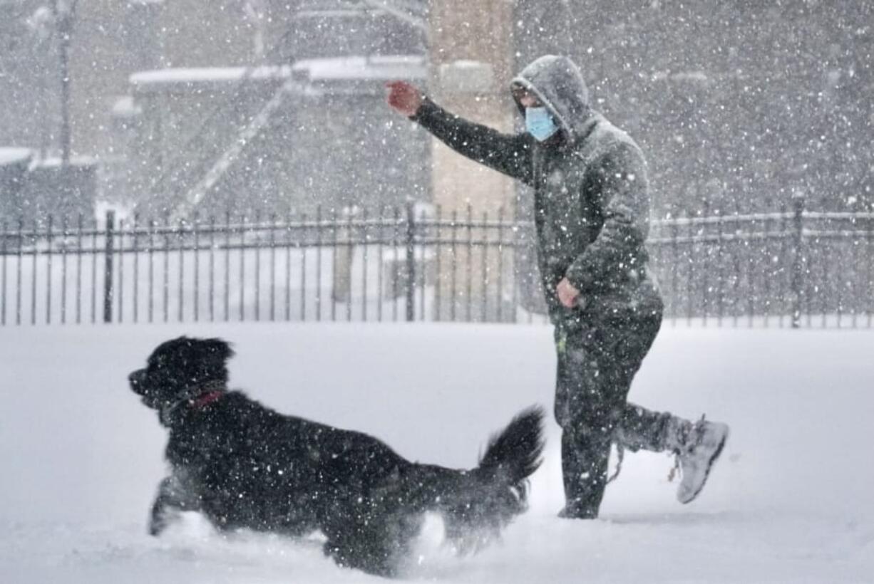 Dr. Charles Blomquist plays with his Newfoundland Daphne at St. Joseph&#039;s on Thursday, Dec. 17, 2020, in Pittsfield, Mass.