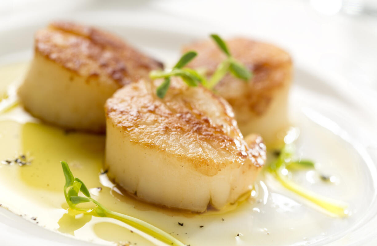 Seared scallops (iStock.com)