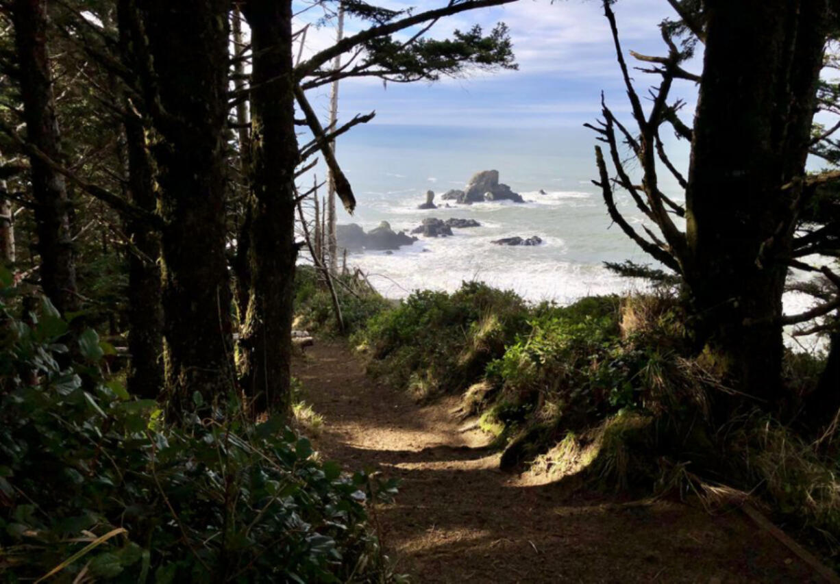 The Indian Beach Trail runs through a quiet coastal forest and along oceanside cliffs at Ecola State Park, offering some of the most stunning views on the north Oregon coast.