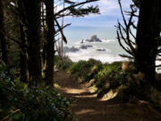 The Indian Beach Trail runs through a quiet coastal forest and along oceanside cliffs at Ecola State Park, offering some of the most stunning views on the north Oregon coast.