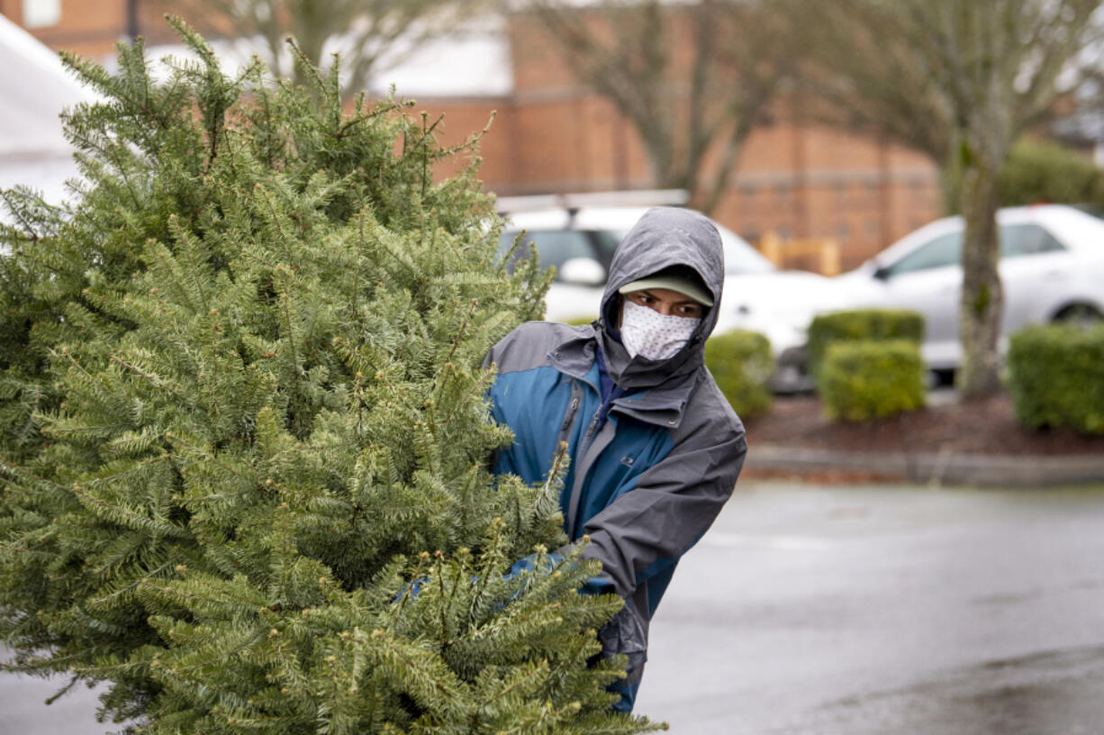 Boy Scout Troop 479 member Parker Zaemann, a Seton Catholic freshman, hauls a tree from the back of a pickup truck into a dumpster during the Boy Scouts annual tree pickup event at Thomas Jefferson Middle School.