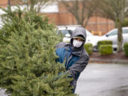 Boy Scout Troop 479 member Parker Zaemann, a Seton Catholic freshman, hauls a tree from the back of a pickup truck into a dumpster during the Boy Scouts annual tree pickup event at Thomas Jefferson Middle School.