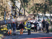 Crews remove a large ponderosa pine that fell on a vehicle, killing a woman during a  windstorm Wednesday, Jan. 13, 2021 in Spokane, Wash.