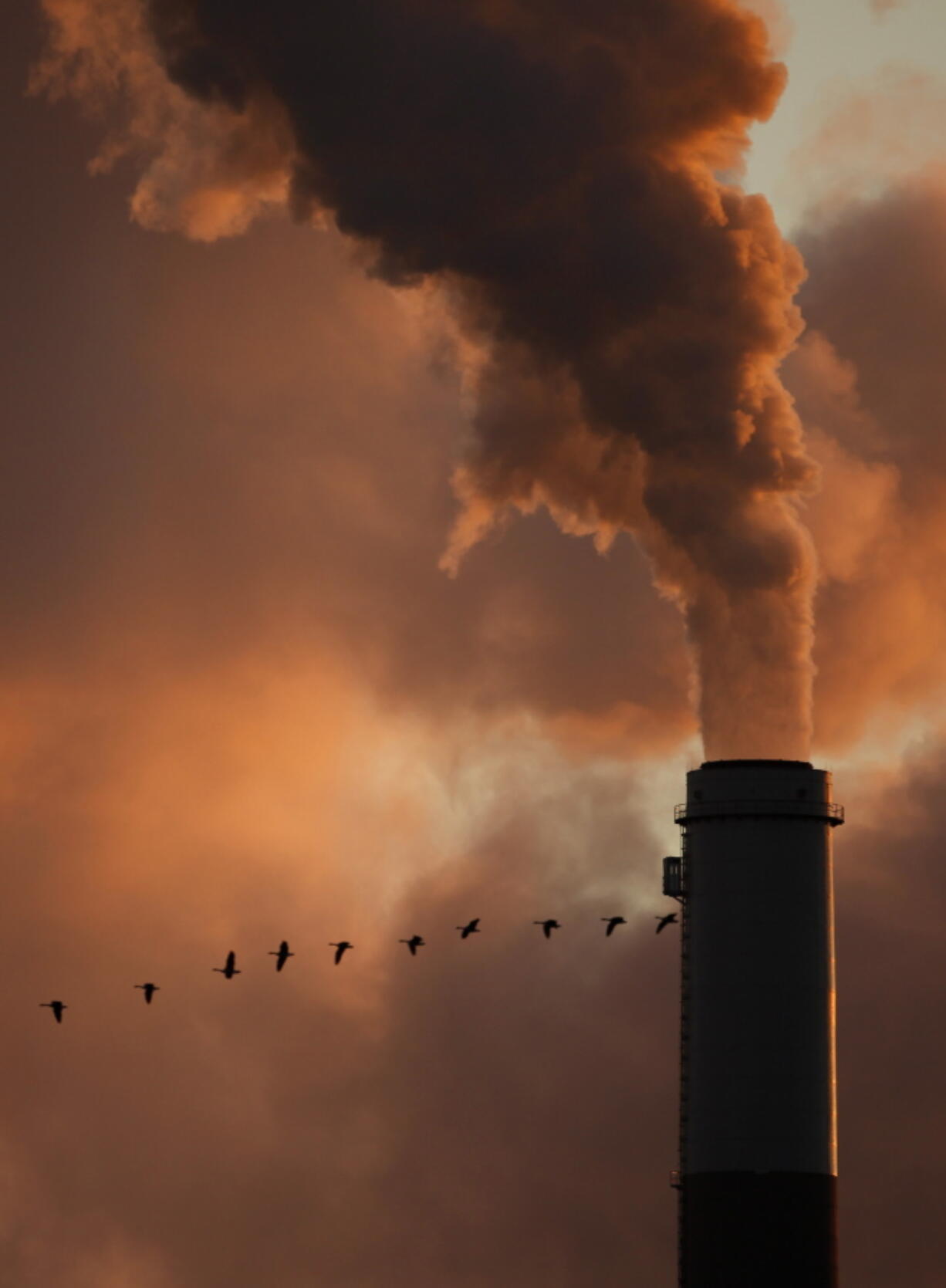 A flock of geese fly past a smokestack at the Jeffery Energy Center coal power plant near Emmitt, Kan.