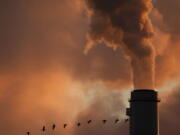 A flock of geese fly past a smokestack at the Jeffery Energy Center coal power plant near Emmitt, Kan.