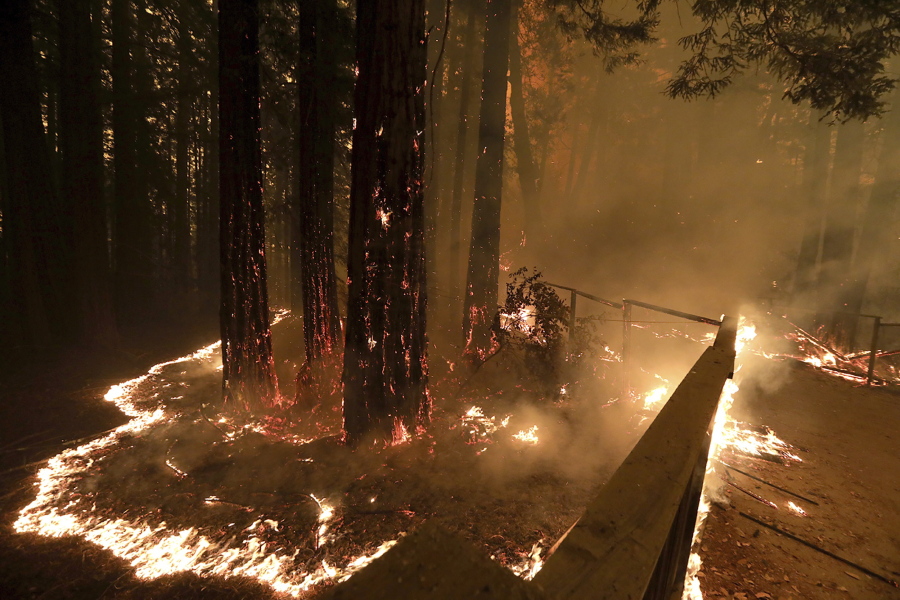 Fierce California winds fan fires topple trees and trucks The