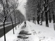 A woman with a dog walks through a snow covered street in Belgrade, Serbia, Sunday, Jan. 17, 2021. MMeteorologists predict sub zero temperatures in Serbia throughout the coming week.