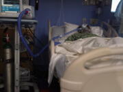 A COVID-19 patient, placed on a ventilator, rests at St. Joseph Hospital in Orange, Calif. Thursday, Jan. 7, 2021. California health authorities reported Thursday a record two-day total of 1,042 coronavirus deaths as many hospitals strain under unprecedented caseloads. (AP Photo/Jae C.