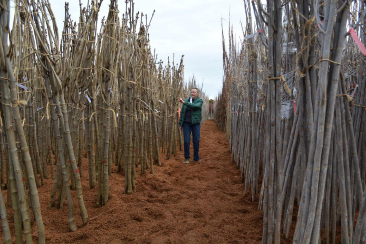 Nancy Buley leads a tour of J. Frank Schmidt &amp; Son wholesale nursery.