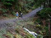 Hikers climb the steep hills that climb through the old-growth forest at the Ecola Creek Forest Reserve.