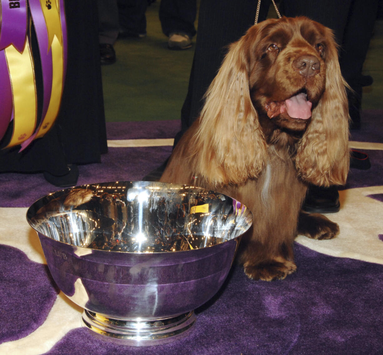 FILE - Stump, a Sussex spaniel, poses for pictures after winning Best in Show during the 133rd annual Westminster Kennel Club dog show in New York, in this Tuesday, Feb. 10, 2009, file photo. Retired from the ring for five years, it was just five days before the show when handler Scott Sommer thought Stump might like to take one final walk at the Garden.