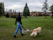 Novia Liu walks her dog, Snicker, at Medina Park on Feb. 5, 2020.