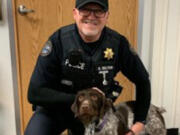 RIDGEFIELD: Oakley, a female German pointer, will join the Cowlitz Public Safety Department to help keep ilani and the Cowlitz Reservation safe.