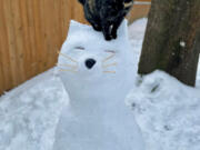 SHUMWAY: Cat owner Chelsea Pipek made a snow cat and posed her cat Taco on top.