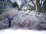 A resident poses by a large ice-covered tree along NE 24th Avenue, Monday, Feb. 15, 2021, in Portland, Ore., after a weekend winter storm toppled it.