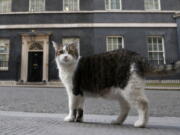 Larry, the official 10 Downing Street cat walks outside 10 Downing Street on May 21 before the nationwide Clap for Carers to recognise and support National Health Service workers and carers fighting the coronavirus pandemic, in London.